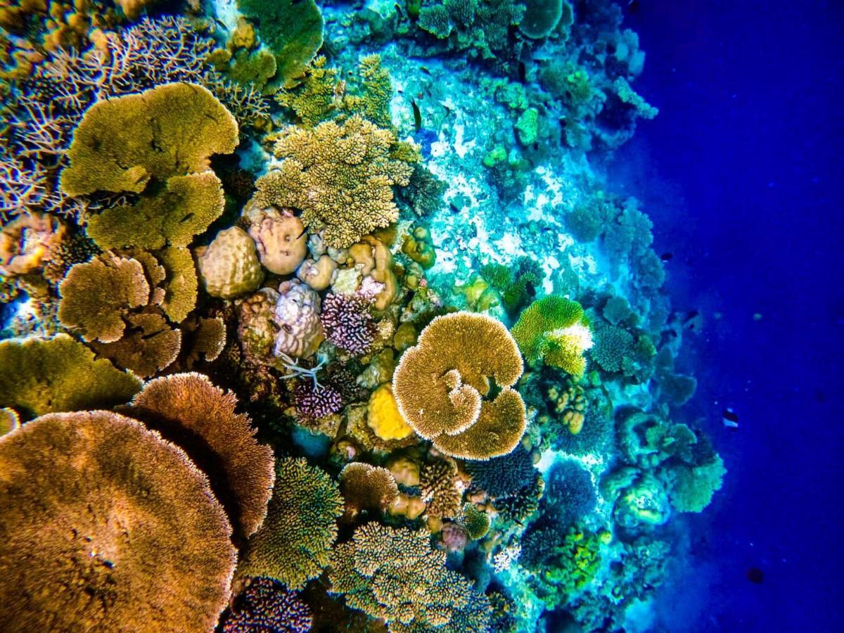 Reef Guest House Мале Экстерьер фото
